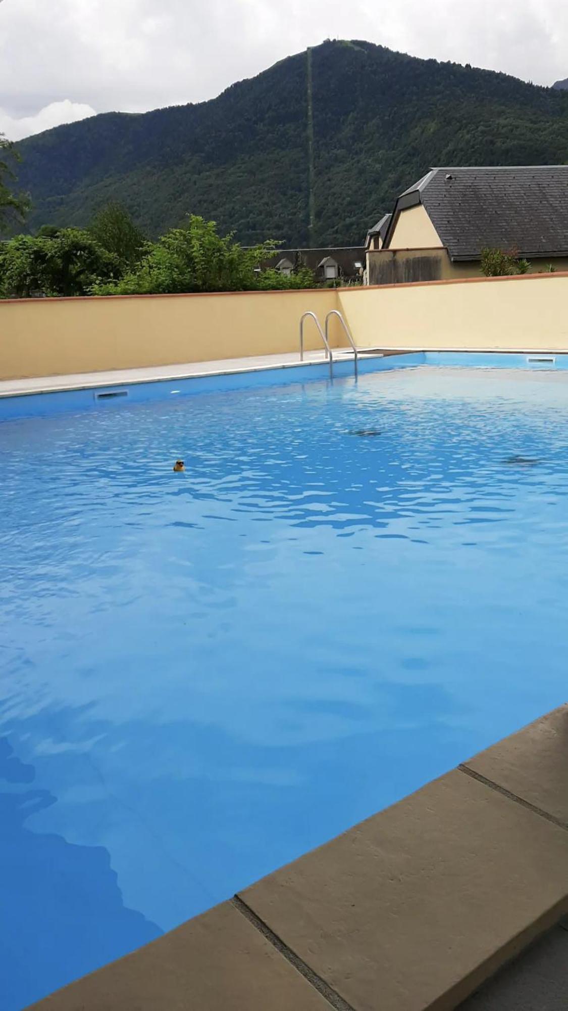 Appart T 3 Bagneres-De-Luchon Vue Montagne - Piscine Mi Juin Exteriör bild